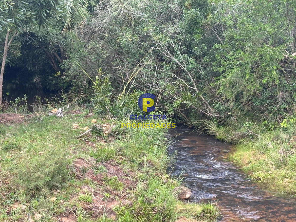 Chacra ID.407 - 3 hectáreas en Las Cañas