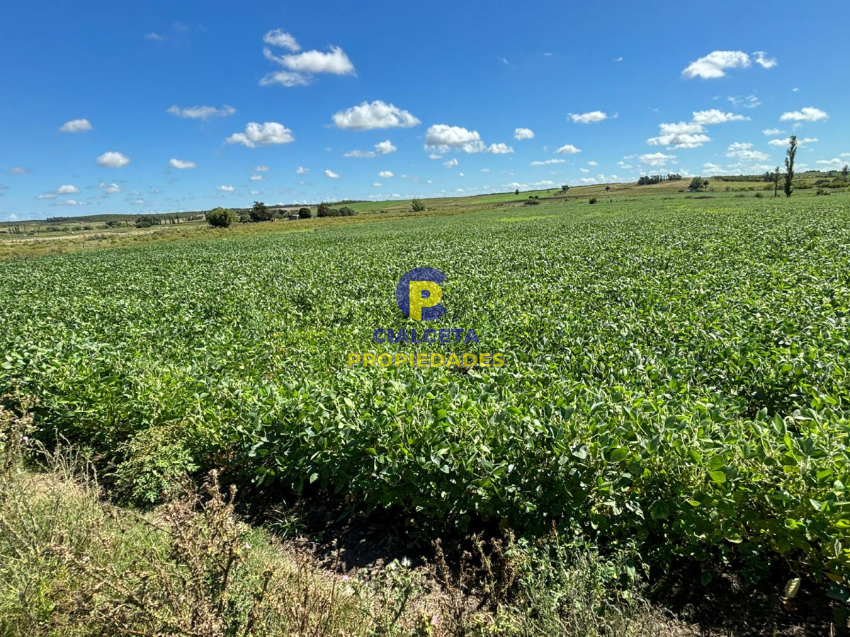 Chacra ID.406 - 14 hectáreas en Canelones