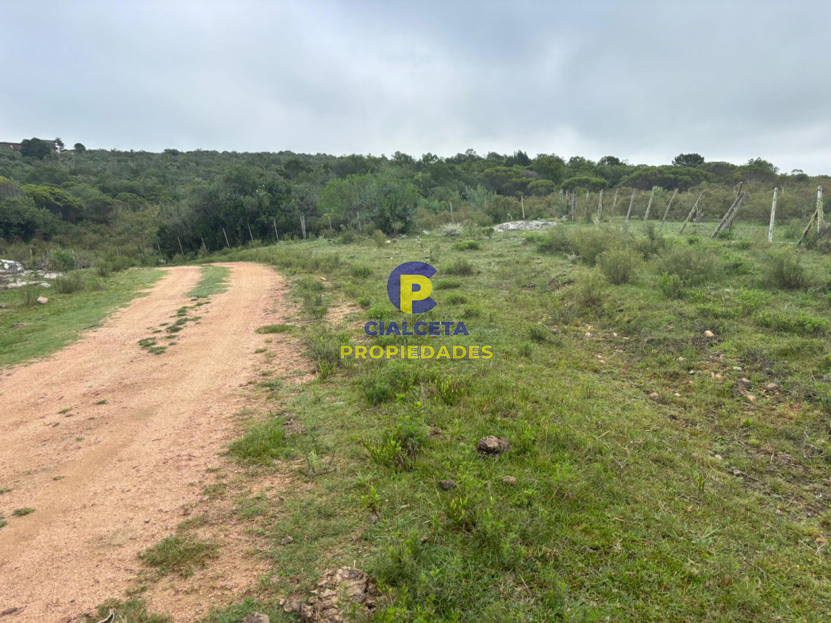 Chacra ID.407 - 3 hectáreas en Las Cañas