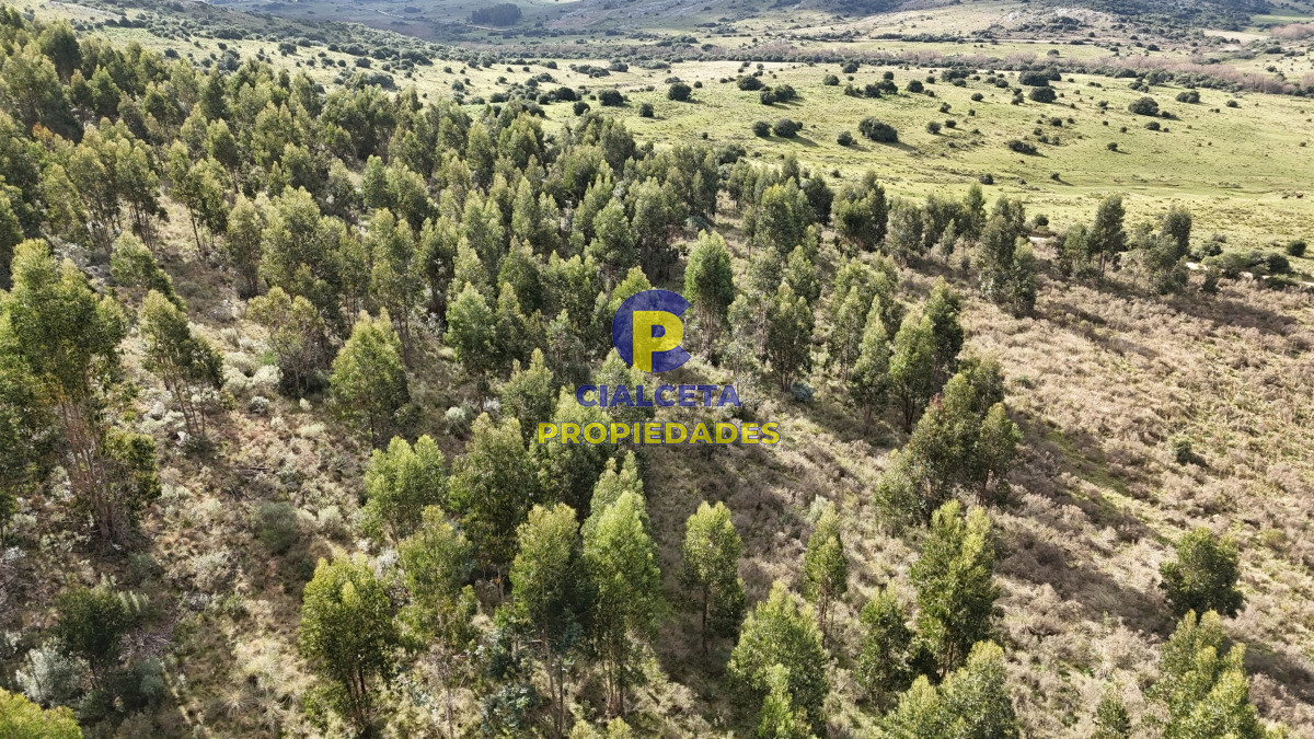 Chacra ID.458 - 5 hectáreas con entrega de 8 mil dólares se financia