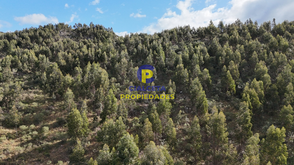 Chacra ID.458 - 5 hectáreas con entrega de 8 mil dólares se financia
