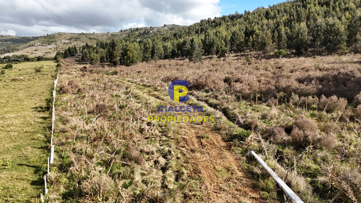 Chacra ID.458 - 5 hectáreas con entrega de 8 mil dólares se financia