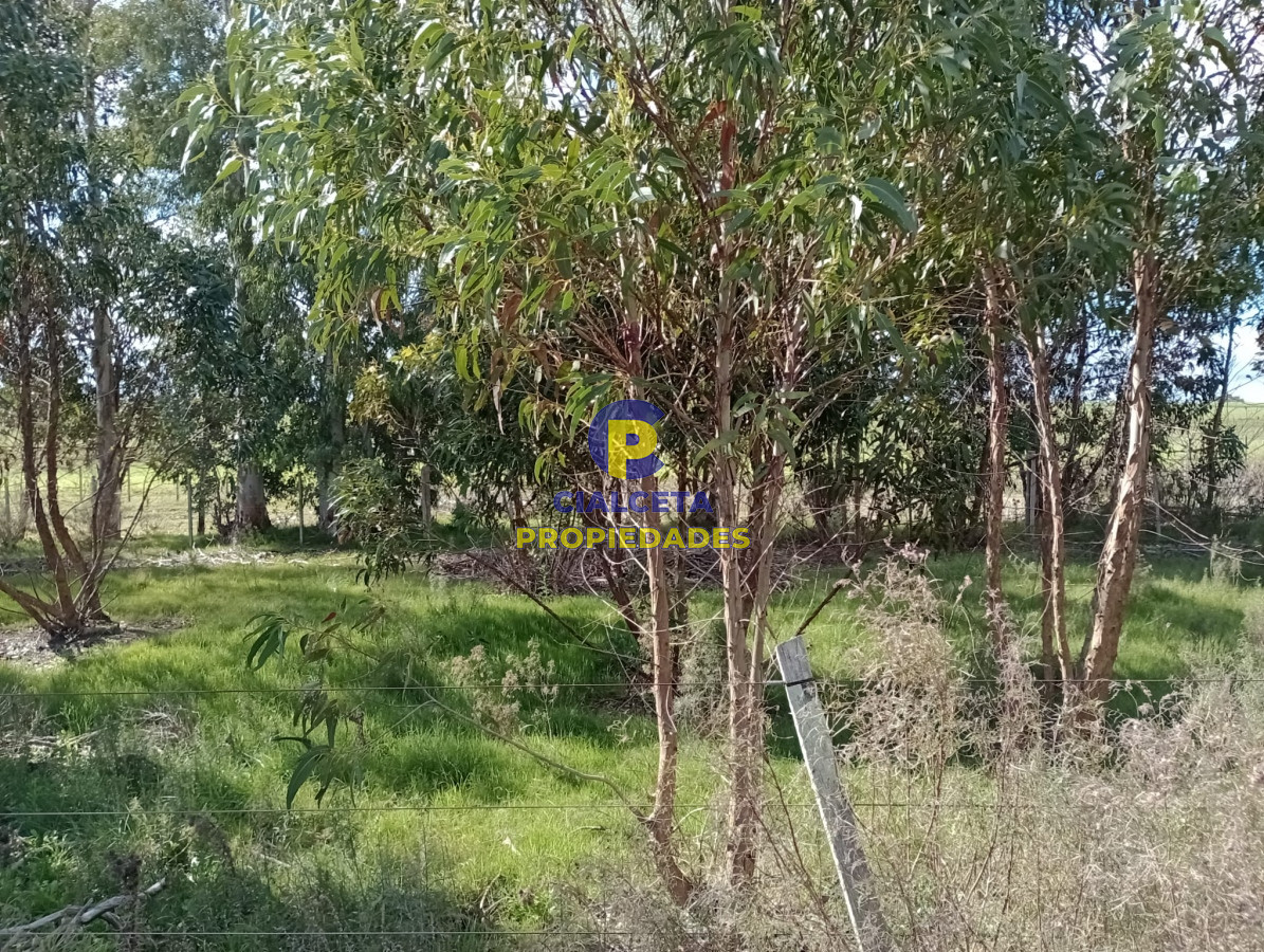 Chacra ID.259 - 3 hectáreas en Canelones