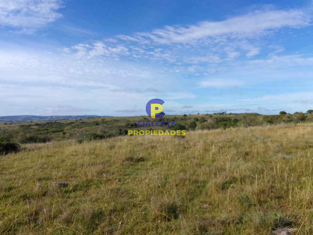Chacra ID.227 - 5 hectáreas con excelente vista