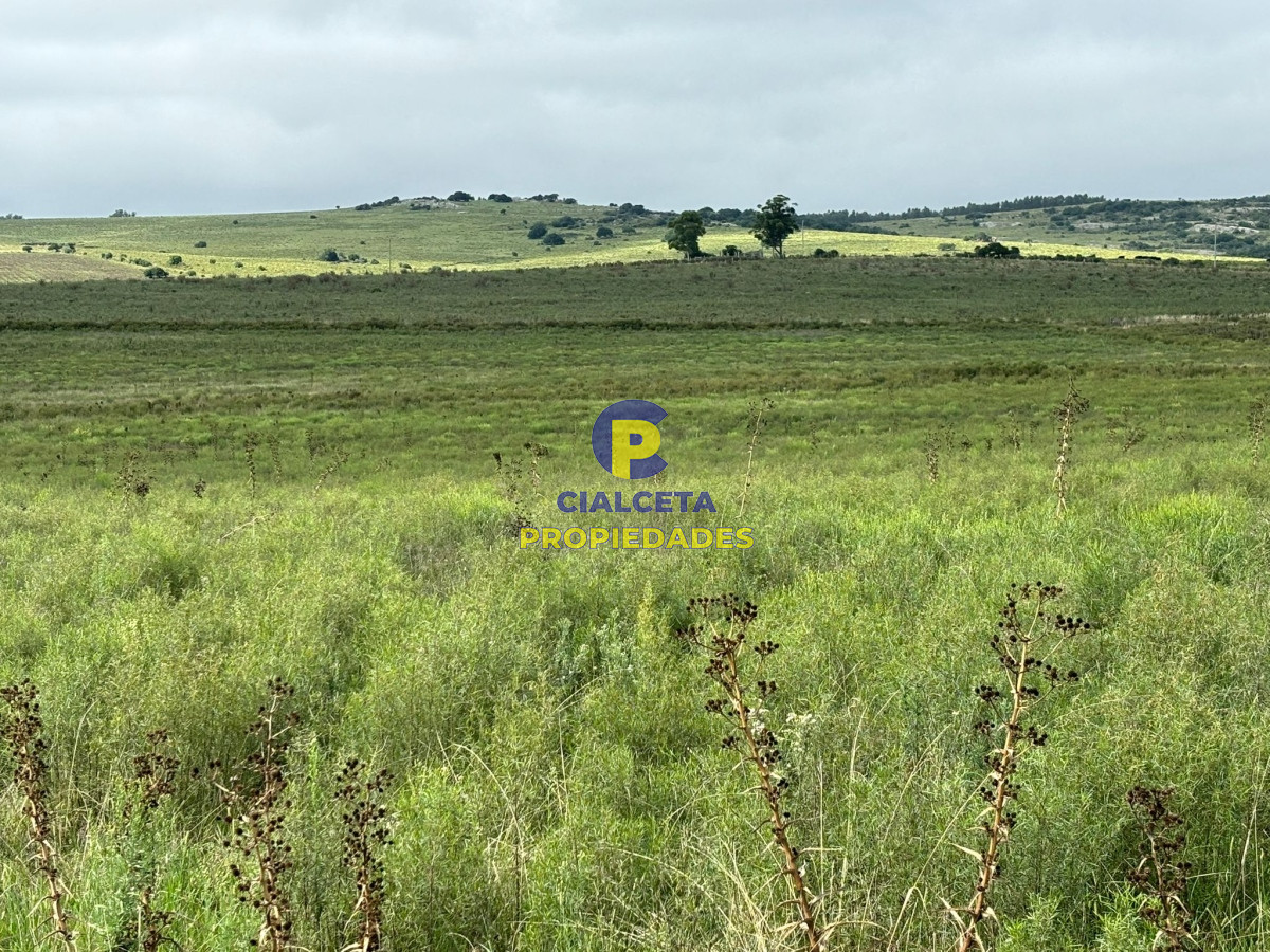 Chacra ID.410 - 10 hectáreas en Pan de Azúcar