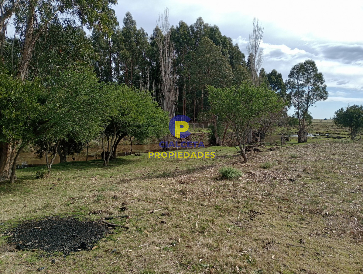 Chacra ID.296 - 9 hectáreas en lavalleja