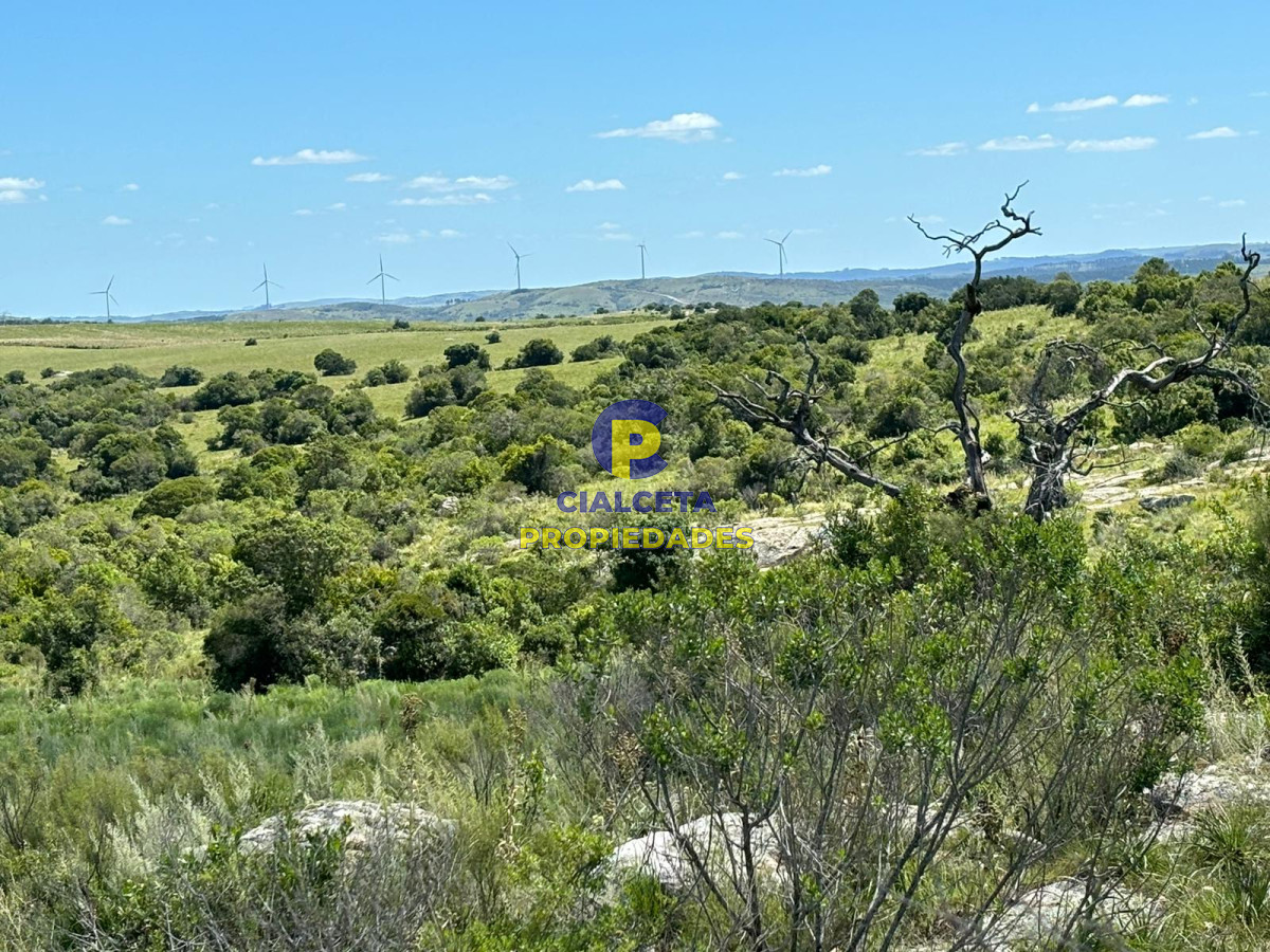 Chacra ID.386 - 6 hectáreas en Maldonado