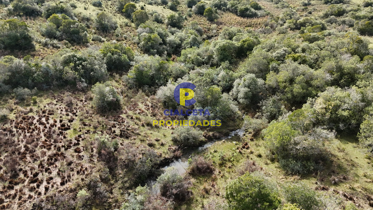 Chacra ID.517 - 3 hectáreas en Maldonado, se financia