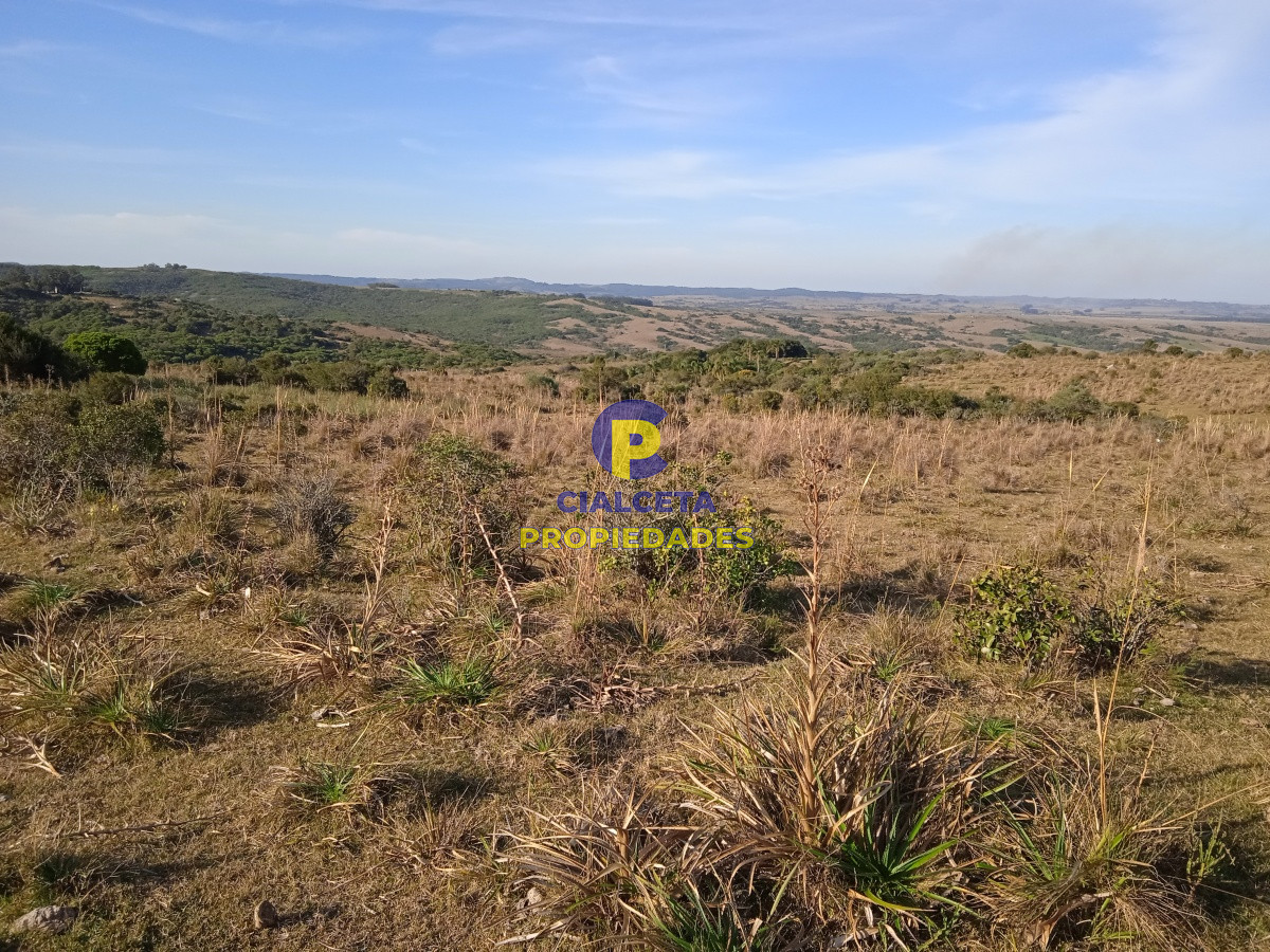Chacra ID.204 - 5 hectáreas en Garzón
