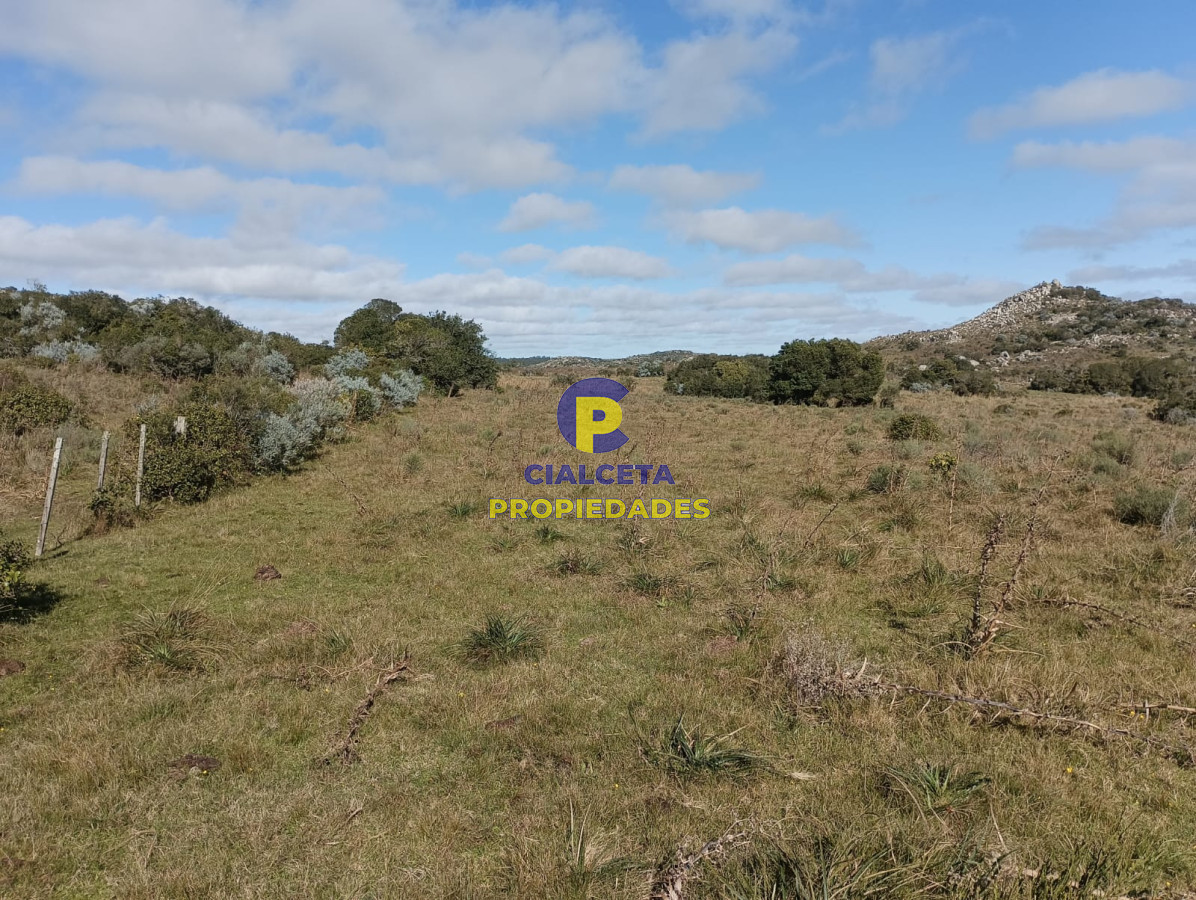 Chacra ID.524 - 8 hectáreas en Maldonado, con monte nativo