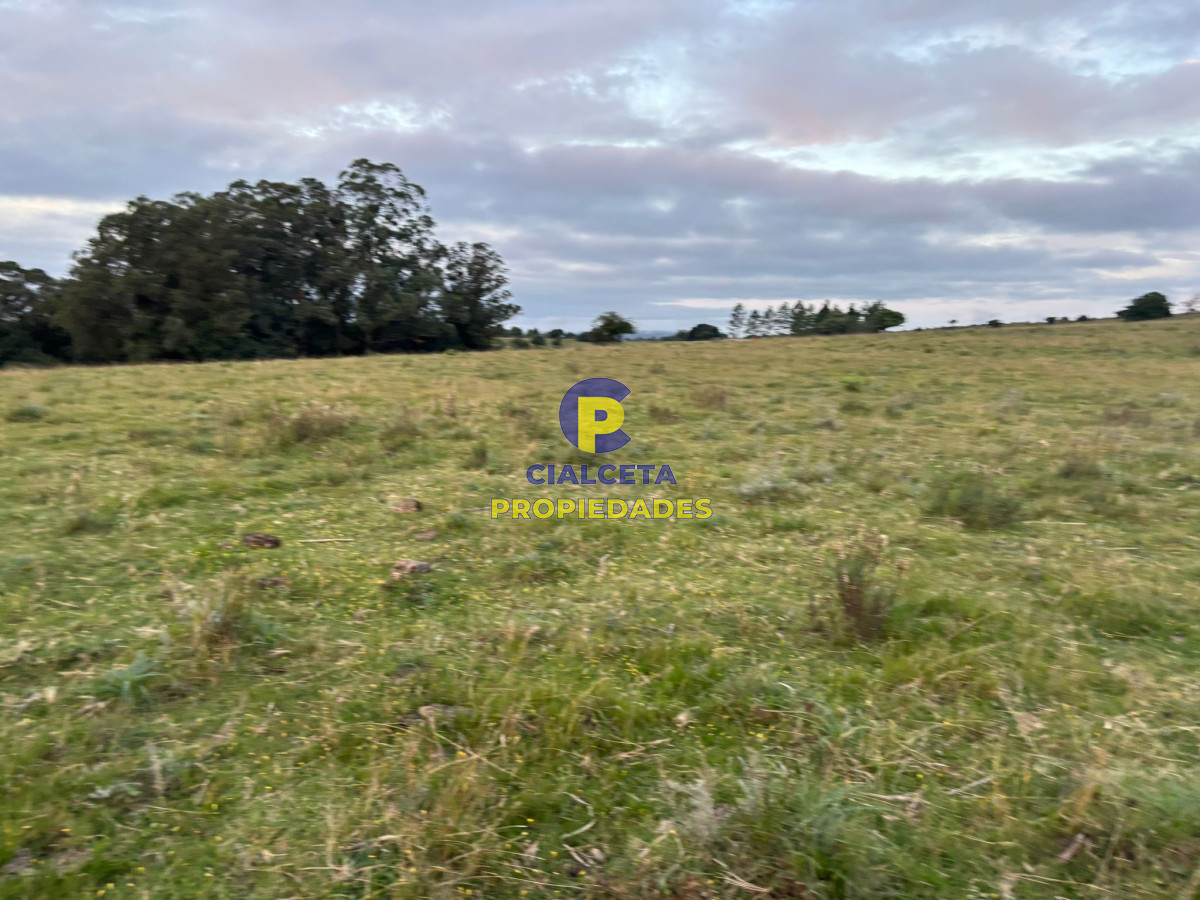 Chacra ID.431 - 5 hectáreas a 10 km de Pueblo Edén