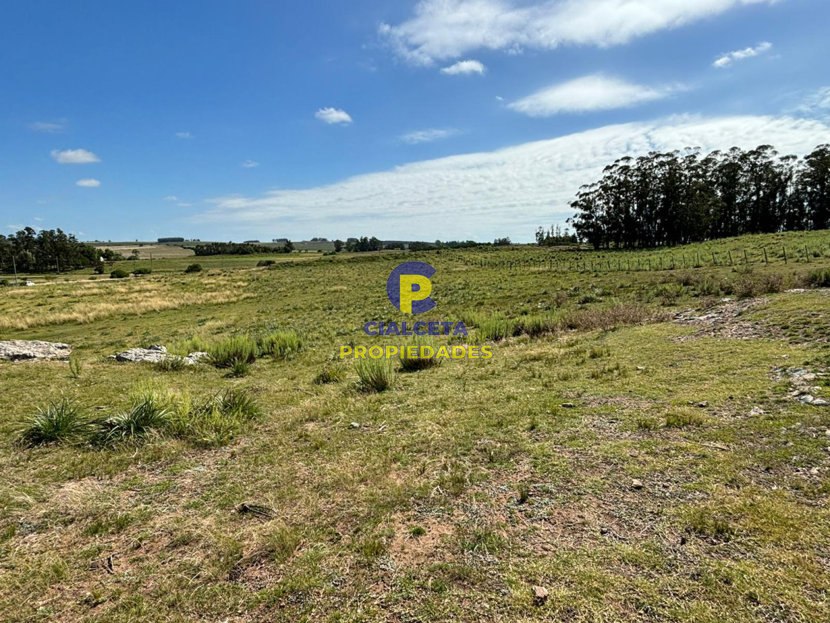 Chacra ID.396 - 3 hectáreas y media en Migues, se financia !!!!, oportunidad