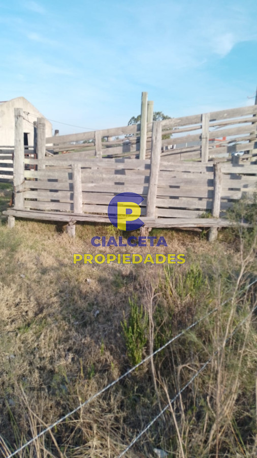 Chacra ID.270 - 13 hectáreas y media con casa y aguada  permanente