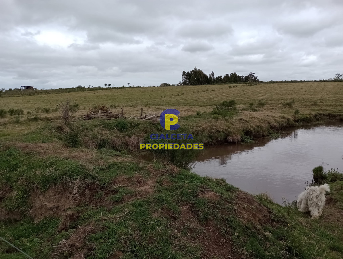 Chacra ID.311 - 5 hectáreas con 8.000 mts en Canelones