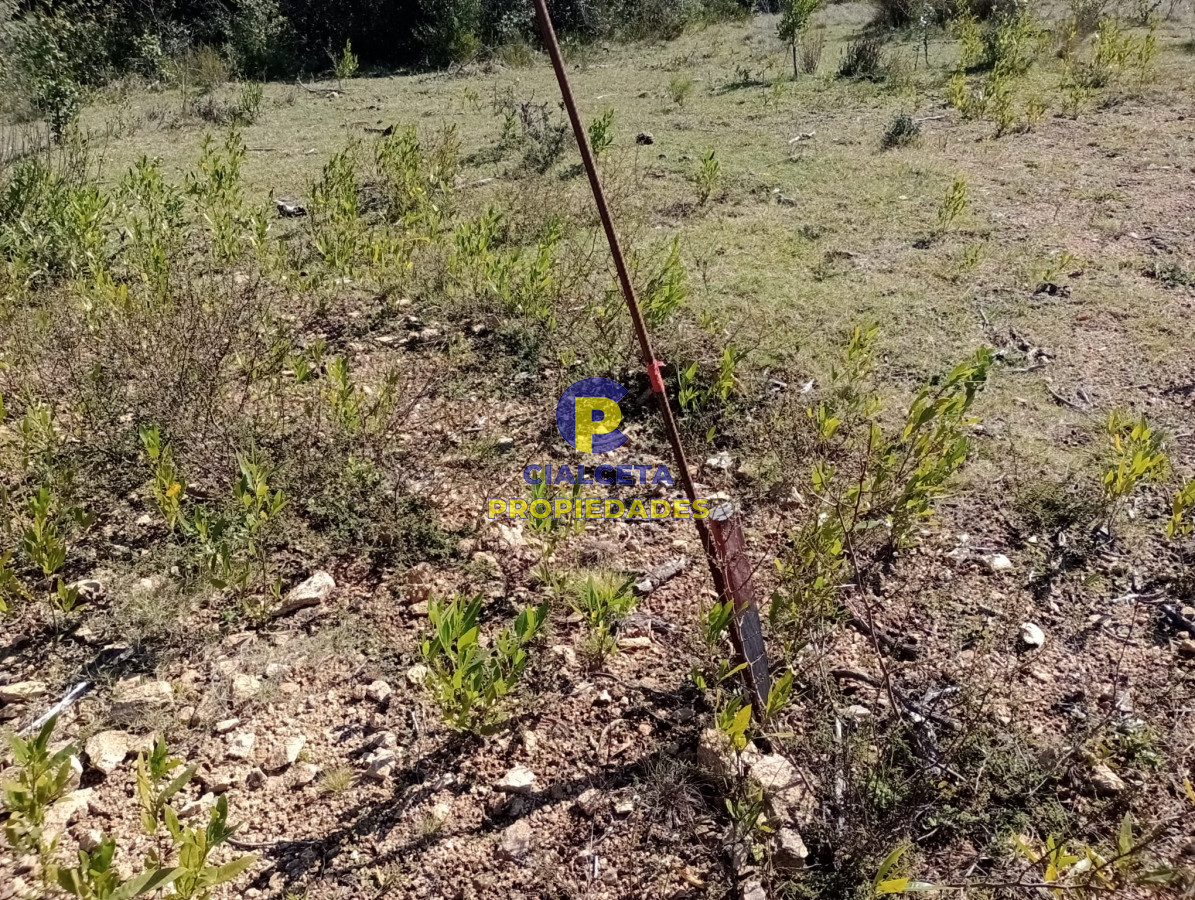 Chacra ID.292 - 5 hectáreas con monte y cañada