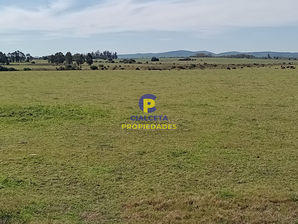 Chacra ID.286 - 5 hectáreas en Maldonado