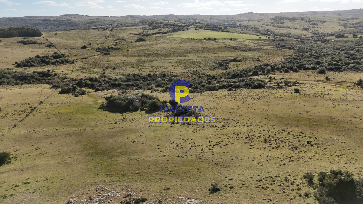 Chacra ID.485 - 7 hectáreas con cañada a 20 km de San Carlos