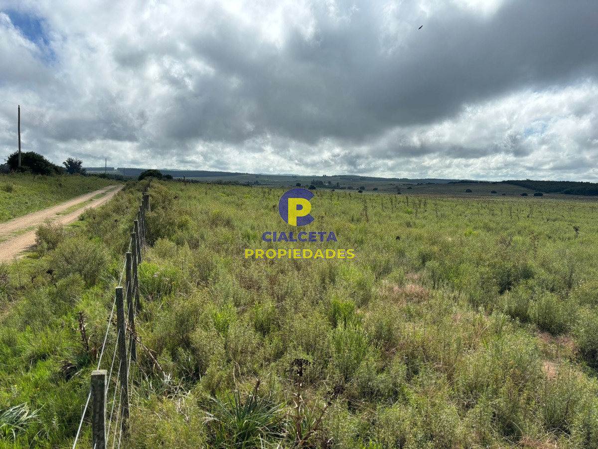 Chacra ID.410 - 10 hectáreas en Pan de Azúcar