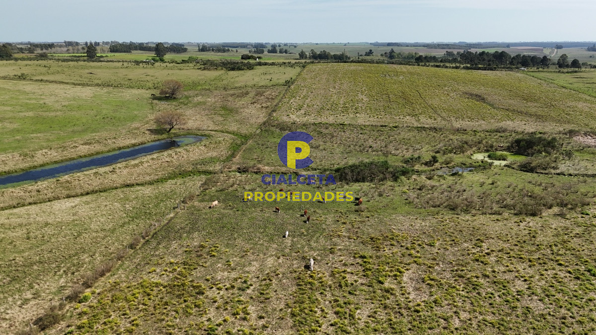 Chacra ID.527 - 3 hectáreas en Migues con aguada y linda vista