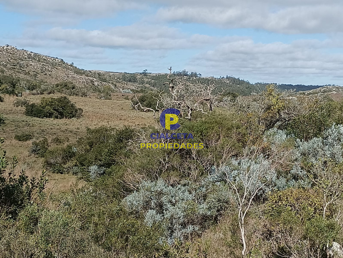 Chacra ID.524 - 8 hectáreas en Maldonado, con monte nativo