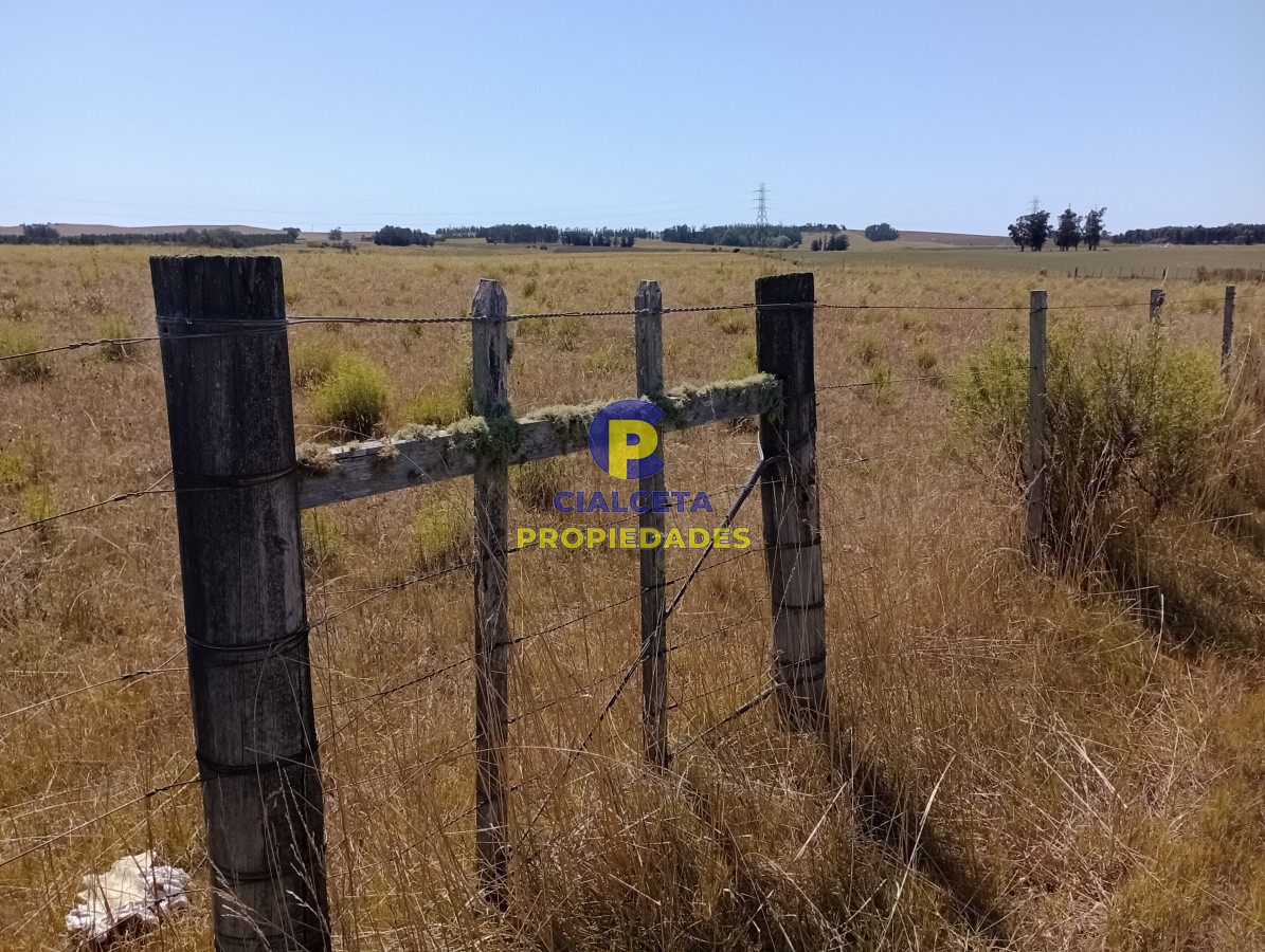 Chacra ID.117 - 5 hectáreas en ruta 104
