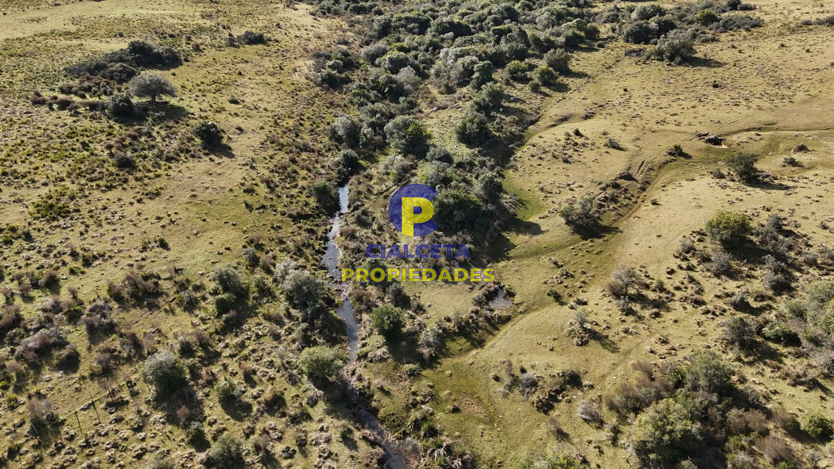 Chacra ID.485 - 7 hectáreas con cañada a 20 km de San Carlos