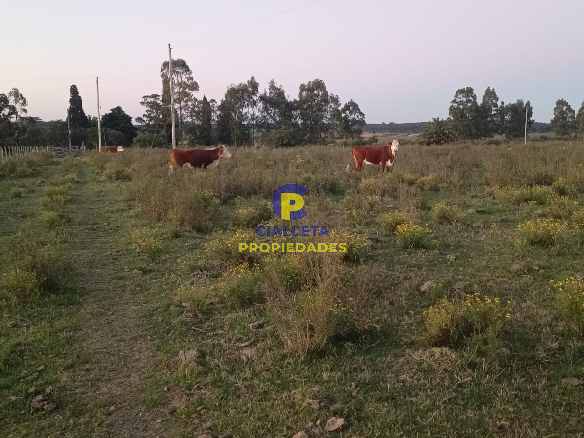 Chacra ID.547 - 10 hectáreas con casa y arroyo