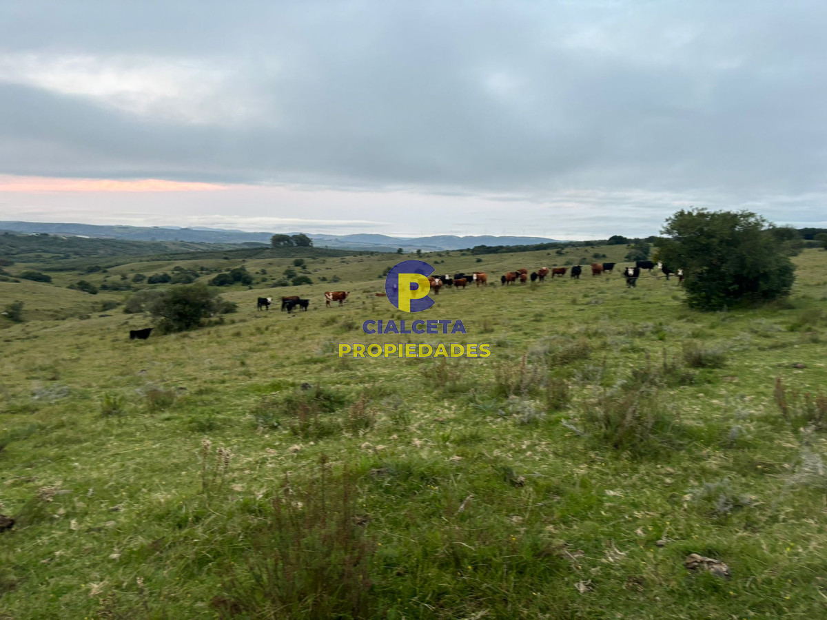 Chacra ID.431 - 5 hectáreas a 10 km de Pueblo Edén