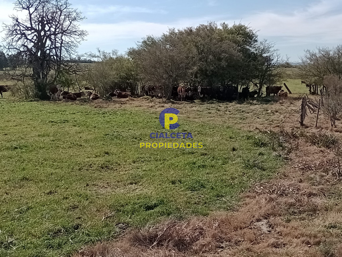 Chacra ID.287 - 5 hectáreas en Maldonado