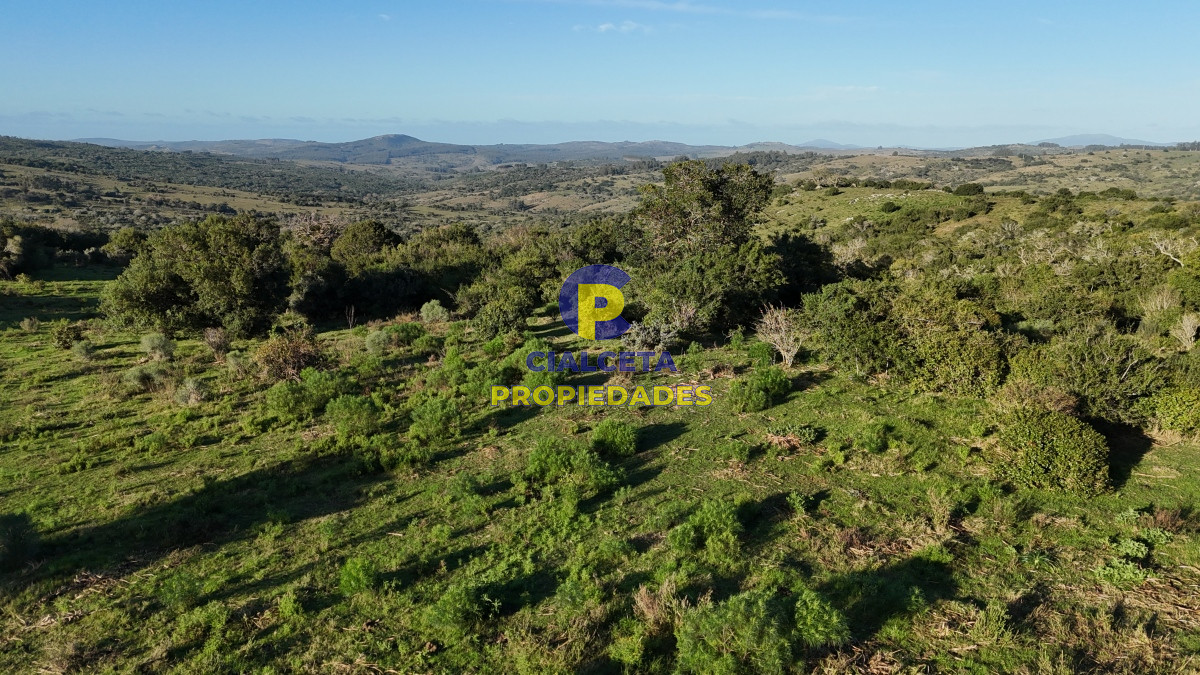Chacra ID.456 - 4  hectáreas con monte nativo en Maldonado