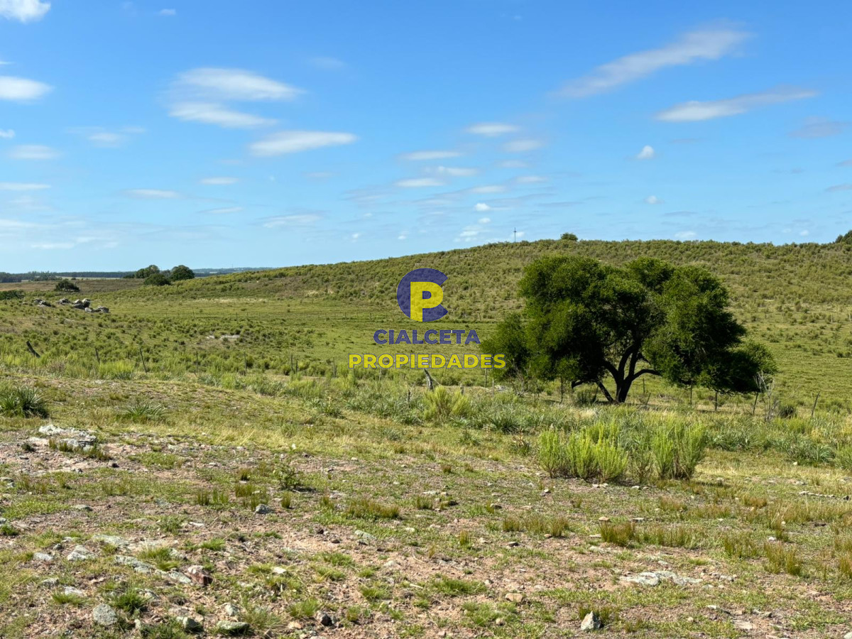Chacra ID.396 - 3 hectáreas y media en Migues, se financia !!!!, oportunidad