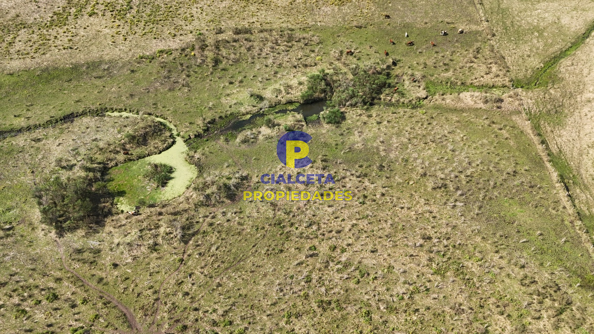 Chacra ID.527 - 3 hectáreas en Migues con aguada y linda vista