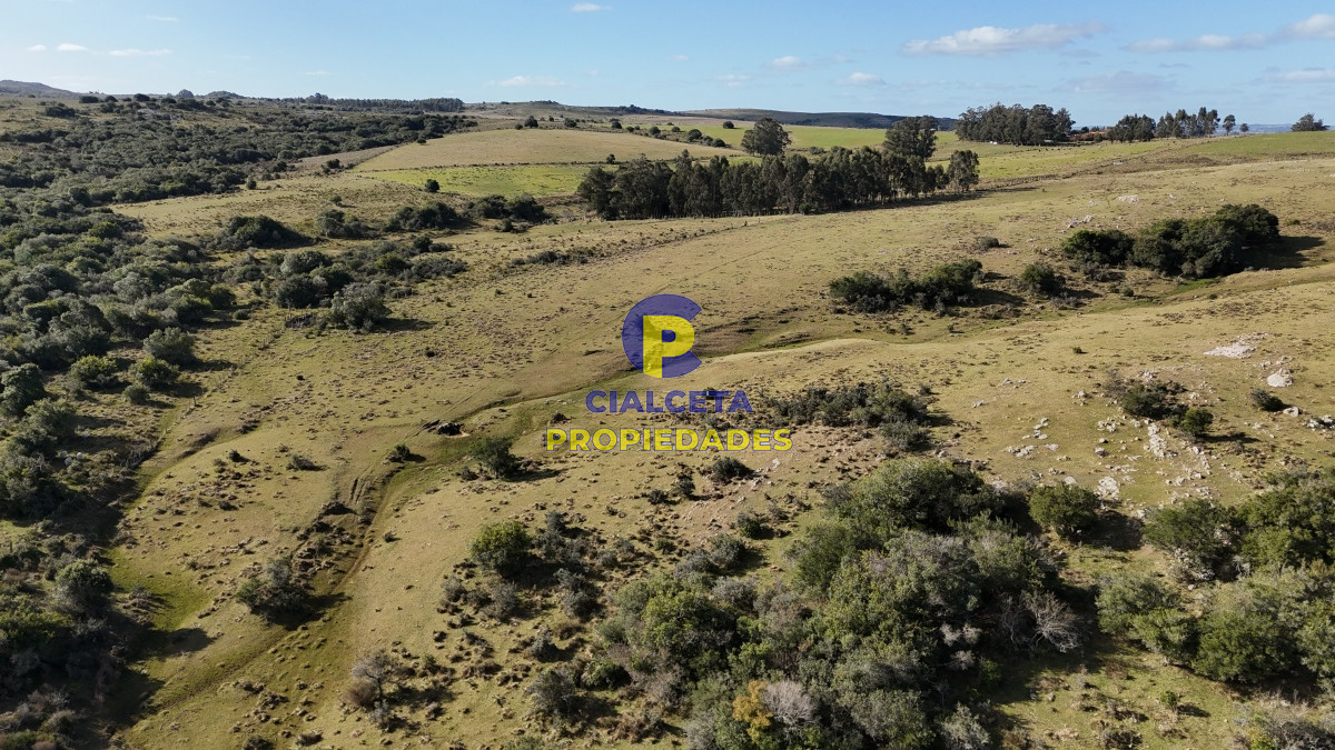 Chacra ID.485 - 7 hectáreas con cañada a 20 km de San Carlos