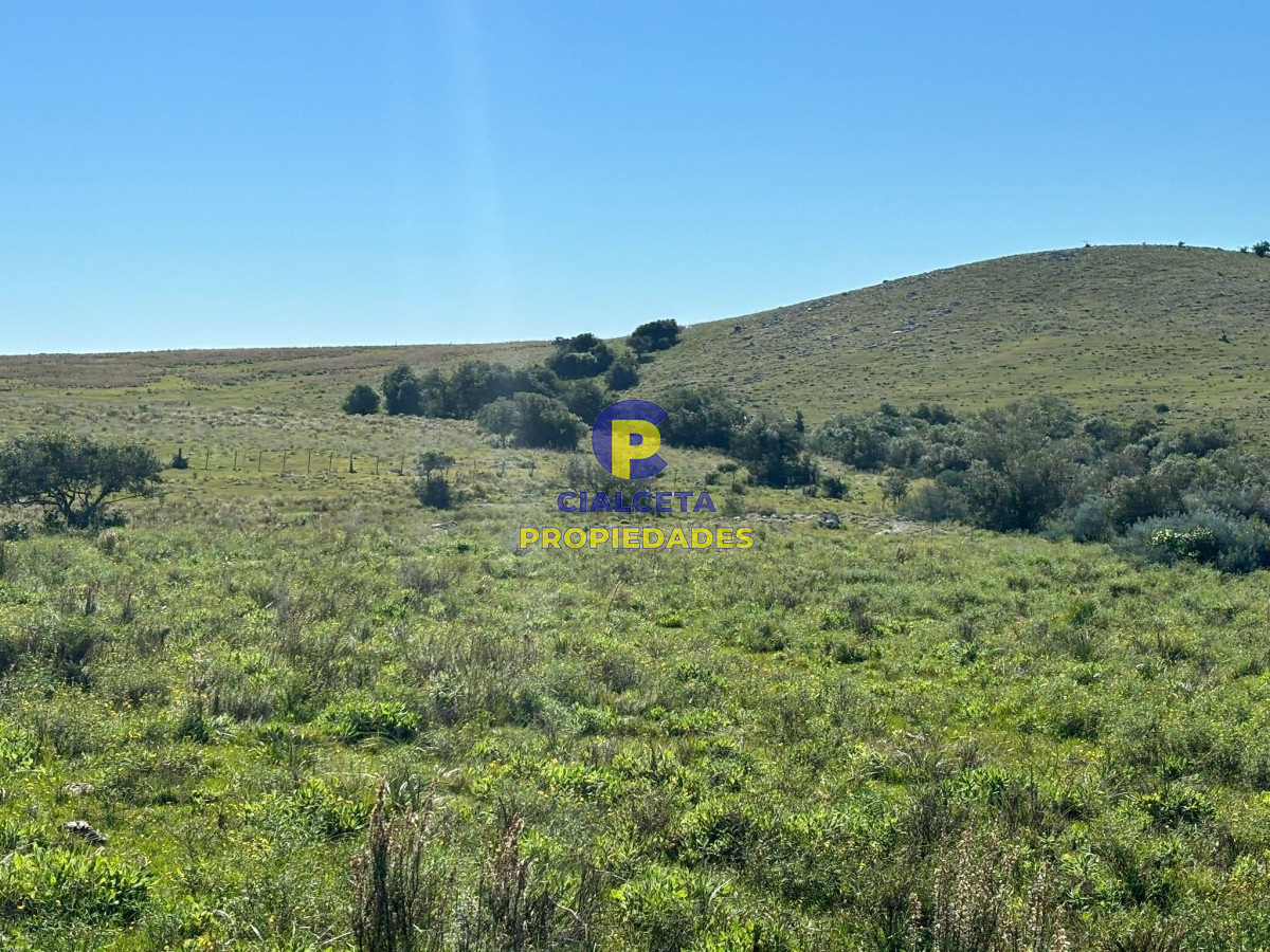 Chacra ID.423 - 5 hectáreas para 38.000 dólares, se financia