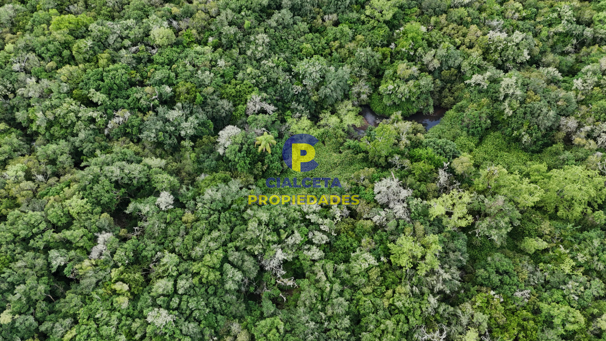 Chacra ID.561 - 5 hectáreas con monte y arroyo José Ignacio