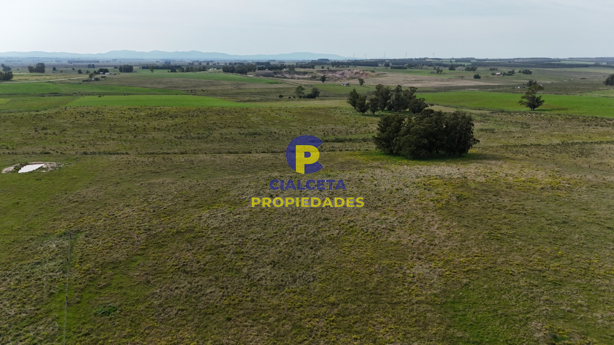 Chacra ID.529 - 3 hectáreas en Noya, departamento de Canelones