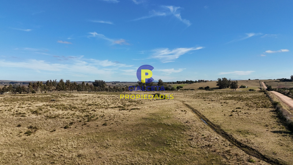 Chacra ID.480 - 4 hectáreas sobre camino a 6 km de Pueblo Edén
