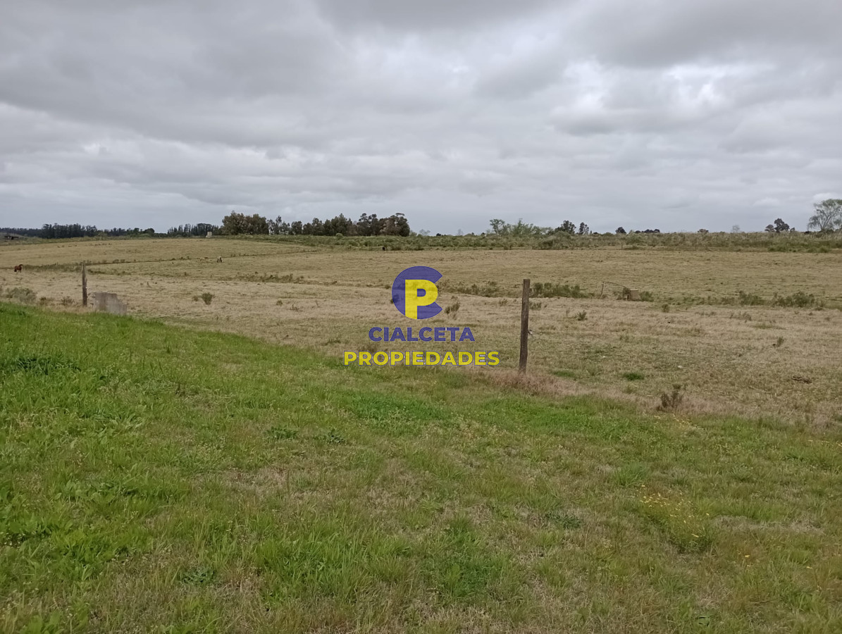 Chacra ID.311 - 5 hectáreas con 8.000 mts en Canelones