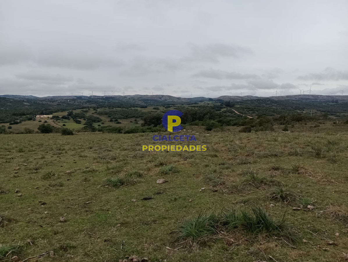 Chacra ID.265 - 5 hectáreas en Maldonado
