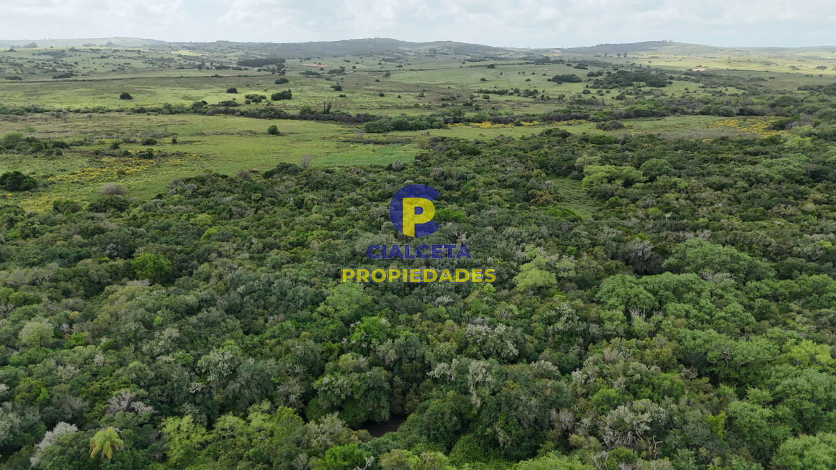 Chacra ID.560 - 4 hectáreas con 6.600 metros con monte y arroyo