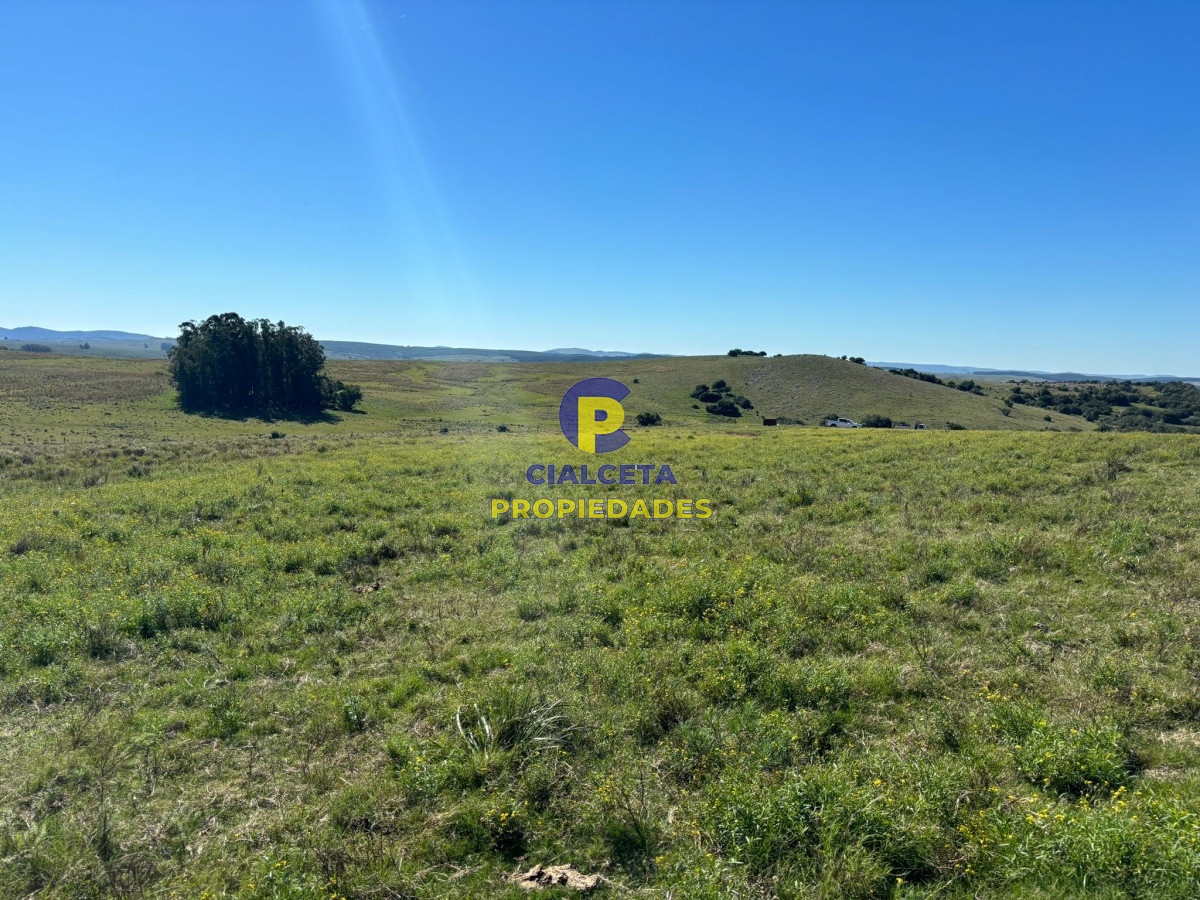 Chacra ID.422 - 5 hectáreas en Lavalleja, entrega 18.000 dólares y saldo financiado