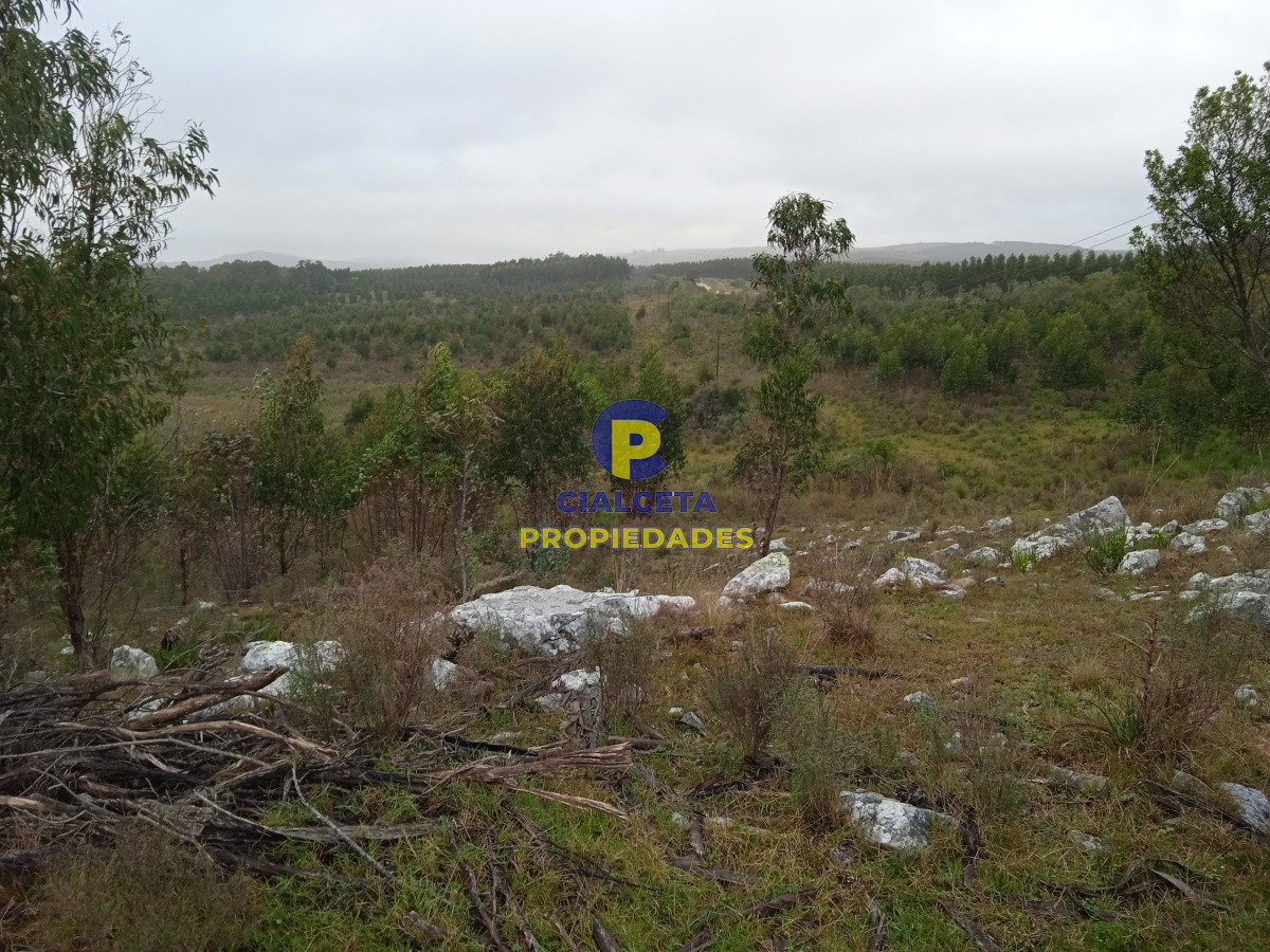 Chacra ID.47 - 5 hectáreas, entregando 7.000 U$S se financian