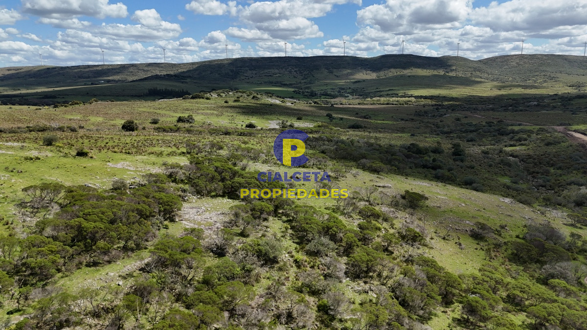 Chacra ID.535 - 3 hectáreas a 25 km de San Carlos, se financian