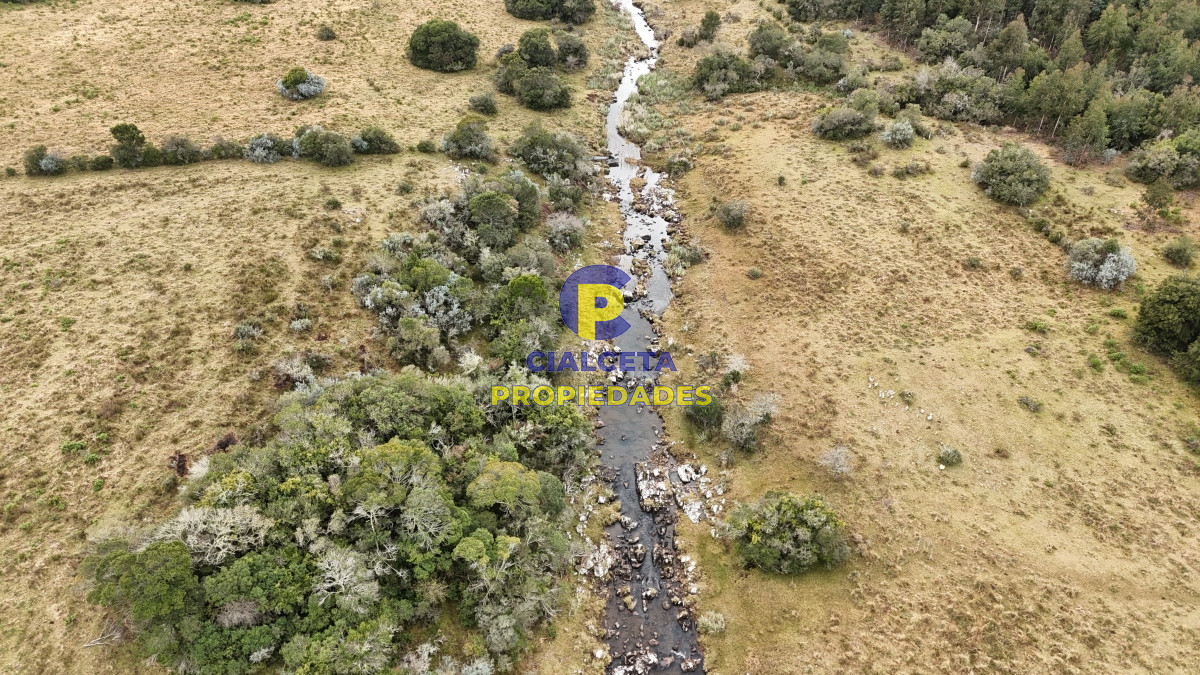Chacra ID.479 - 14 hectáreas y media con población y arroyito en el fondo