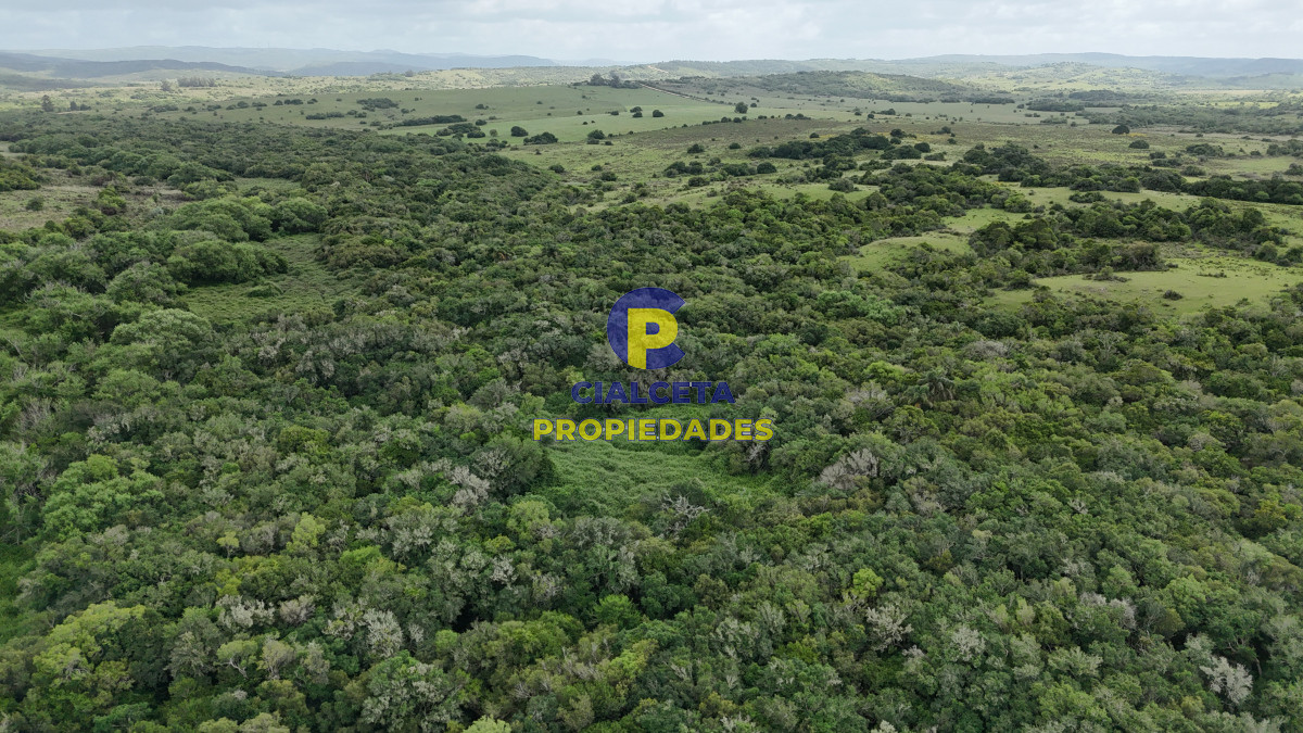Chacra ID.560 - 4 hectáreas con 6.600 metros con monte y arroyo