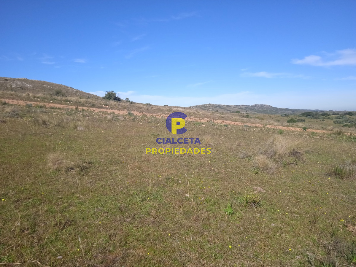 Las Cañas - GoPunta - Portal Inmobiliario de Punta del Este - Maldonado