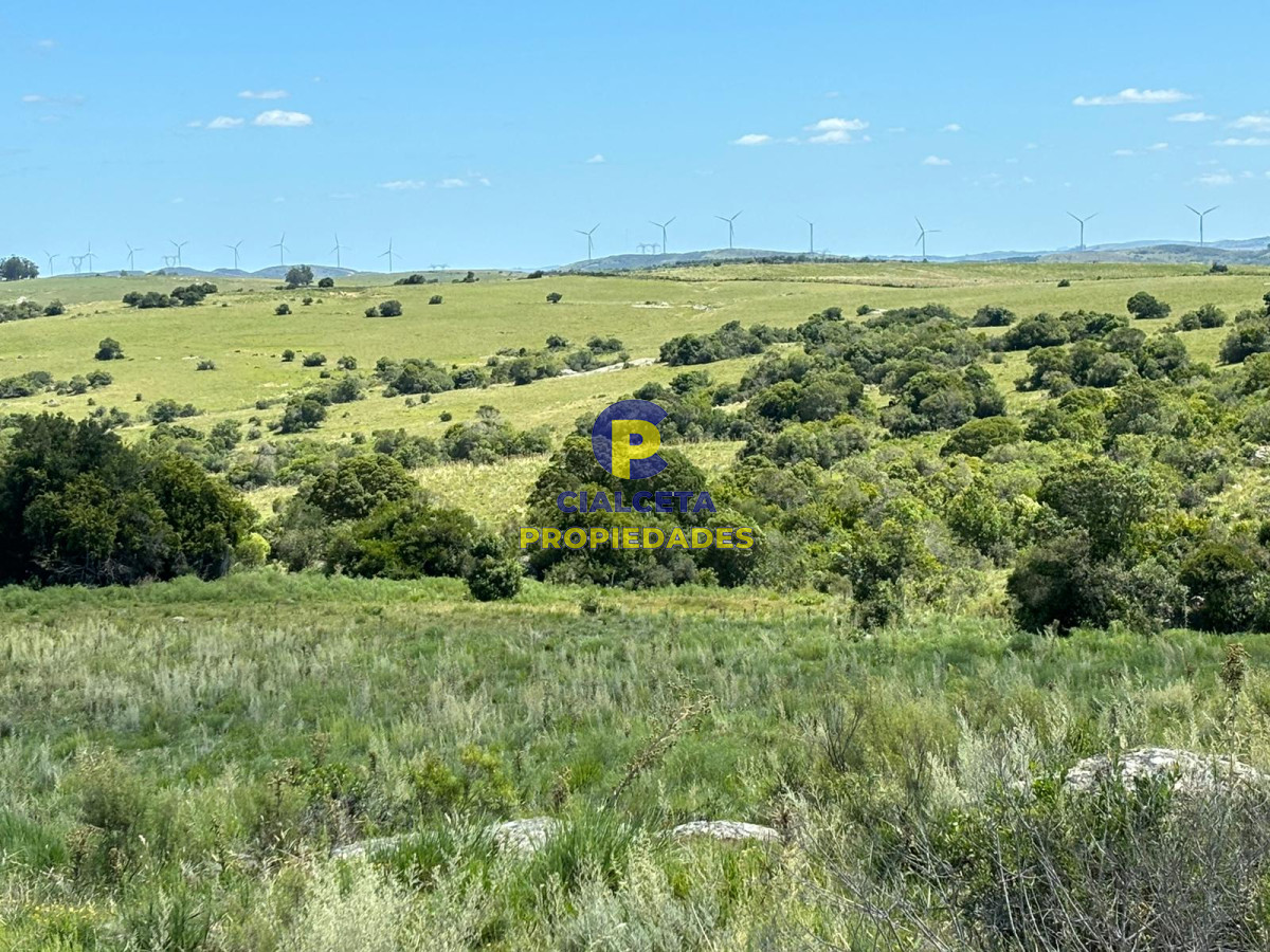 Chacra ID.385 - 5 hectáreas en Maldonado