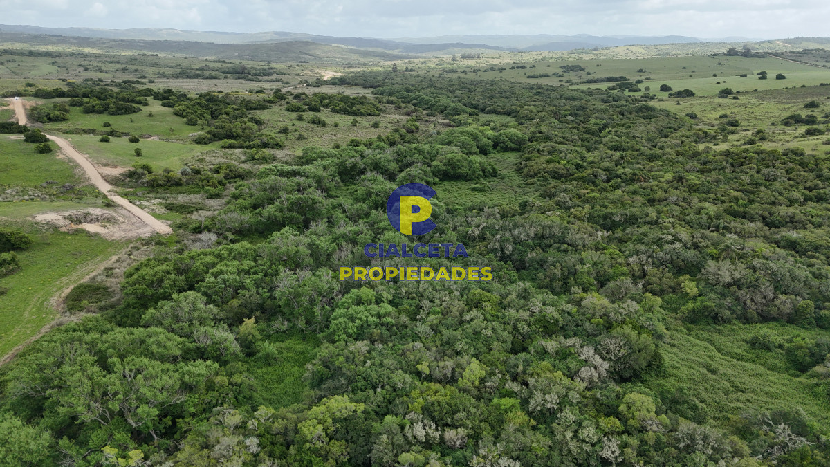 Chacra ID.560 - 4 hectáreas con 6.600 metros con monte y arroyo