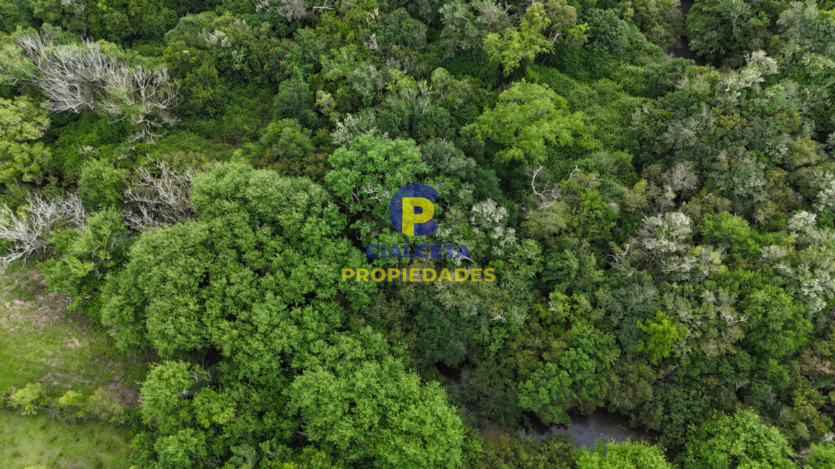 Chacra ID.561 - 5 hectáreas con monte y arroyo José Ignacio