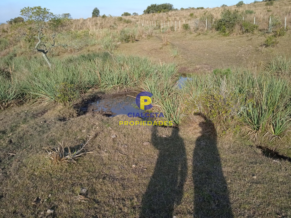 Chacra ID.204 - 5 hectáreas en Garzón
